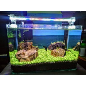 AQUA LED GROLÜX BİTKİLİ AKVARYUM AYDINLATMA 3 RENK KARIŞIK