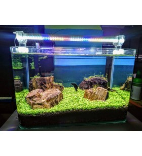 AQUA LED GROLÜX BİTKİLİ AKVARYUM AYDINLATMA 3 RENK KARIŞIK