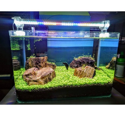 AQUA LED GROLÜX BİTKİLİ AKVARYUM AYDINLATMA 3 RENK KARIŞIK