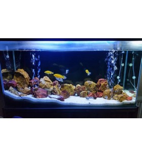 AquaLed Led Aydınlatma Armatür Mavi & Beyaz