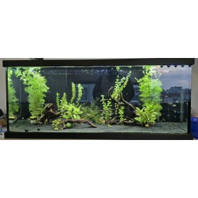 Aqua LED META PLANT + FULL SPECTRUM SİYAH KASA 3 SIRA LED