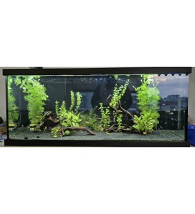 AQUA LED PLANT FULL SPECTRUM  4 RENK ÖZEL DİZİLİM