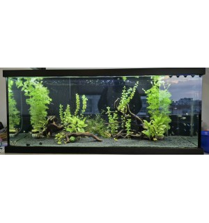 Aqua LED META PLANT + FULL SPECTRUM SİYAH KASA 3 SIRA LED