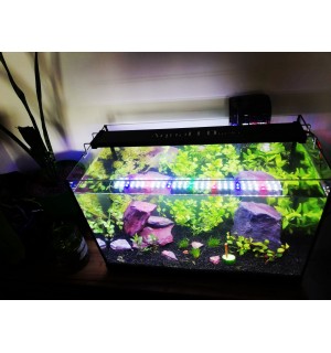 Aqua LED META PLANT + FULL SPECTRUM SİYAH KASA 3 SIRA LED