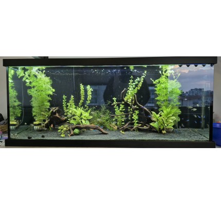 AQUA LED PLANT FULL SPECTRUM  4 RENK ÖZEL DİZİLİM