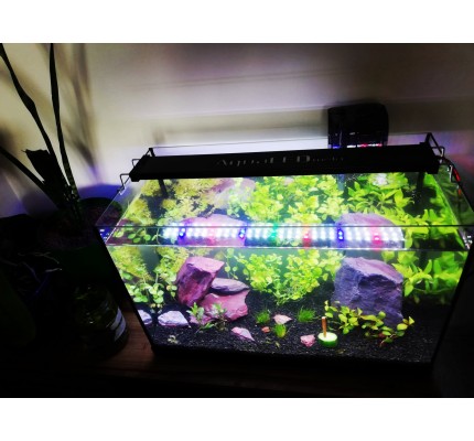 AQUA LED PLANT FULL SPECTRUM  4 RENK ÖZEL DİZİLİM