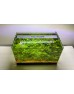Aqua LED PLANT FULL SPECTRUM METALİK KASA 4 RENK ÖZEL DİZİLİM