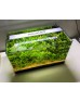 Aqua LED PLANT FULL SPECTRUM METALİK KASA 4 RENK ÖZEL DİZİLİM