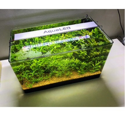 Aqua LED PLANT FULL SPECTRUM METALİK KASA 4 RENK ÖZEL DİZİLİM