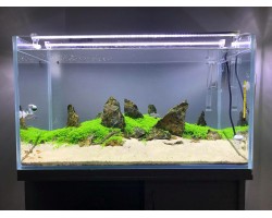 Aqualed Beyaz 6500K Mercek Led Aqualed Beyaz 6500K Mercek Led