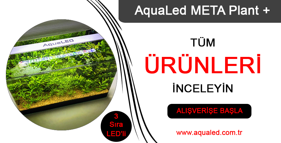 aqualed-meta-plant