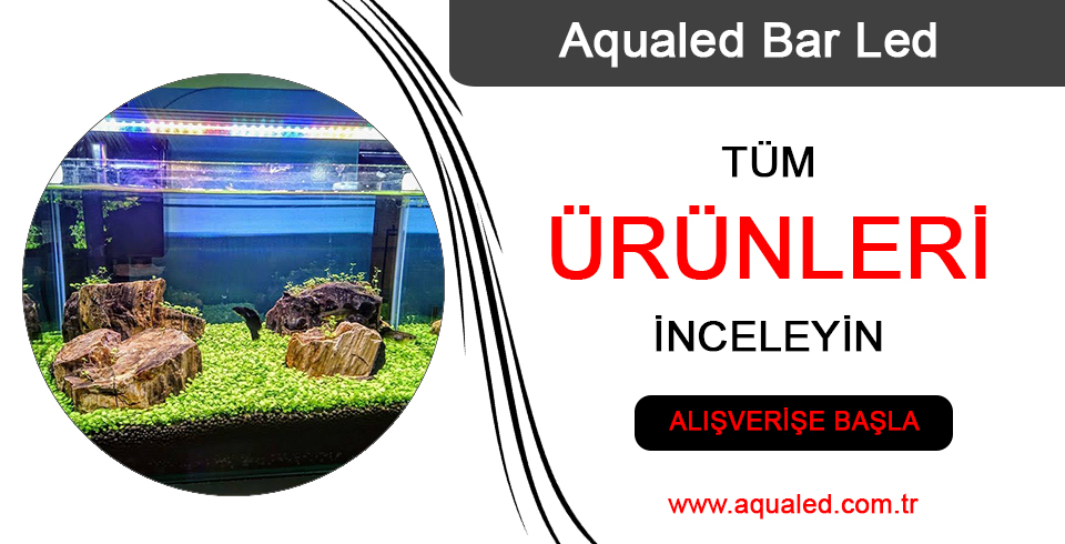 aqualed-bar-led